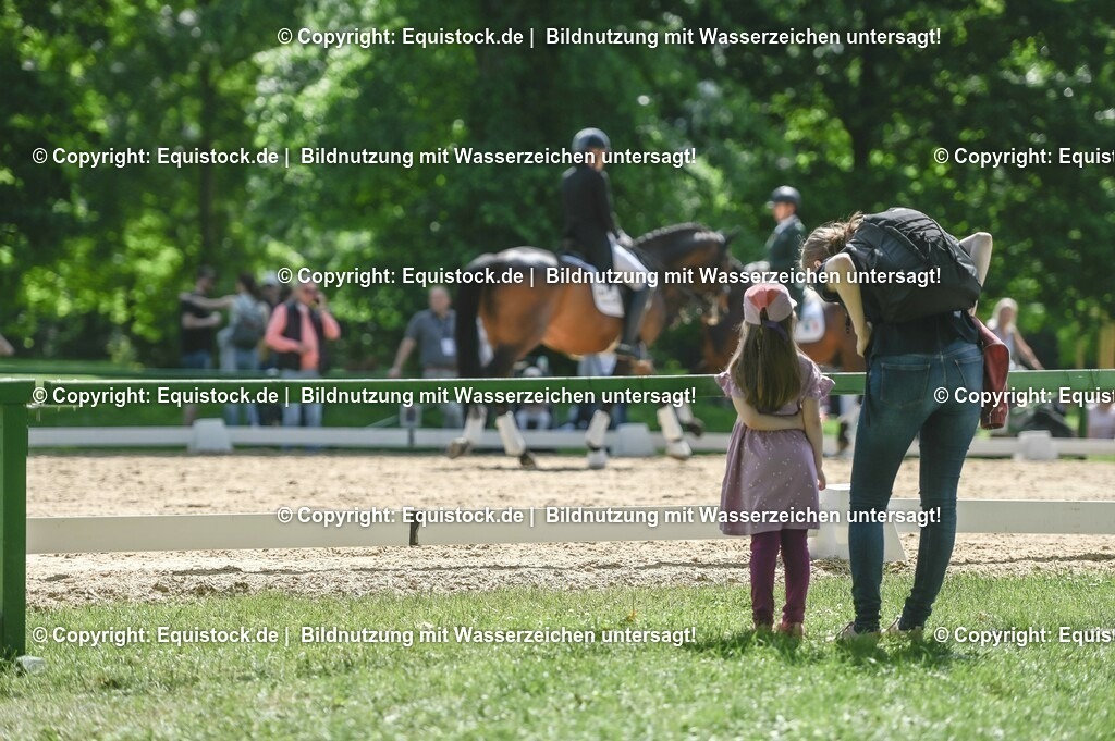 D78_2880 | equistock