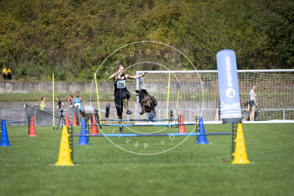 Pfotenfotografie_DV3A7163 | Hundefotografie, Tierfotograf, Pfotenfotografie, Fotoshooting Hund, Hunde Portrait, Hundesport, Hundeportraits, Heideshooting, Hunde, Sportfotograf, Hundefotograf, Turnierhundsport, THS,  - Realisiert mit Pictrs.com