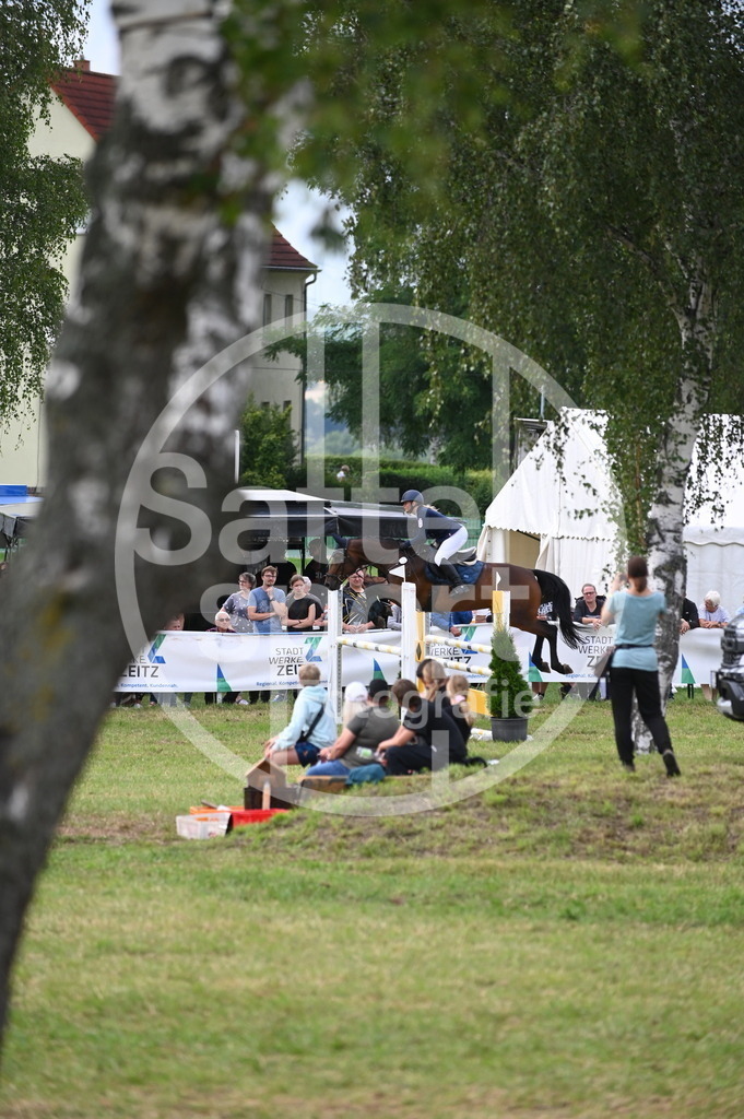 DSC_3433 | sattelsport - Realisiert mit Pictrs.com