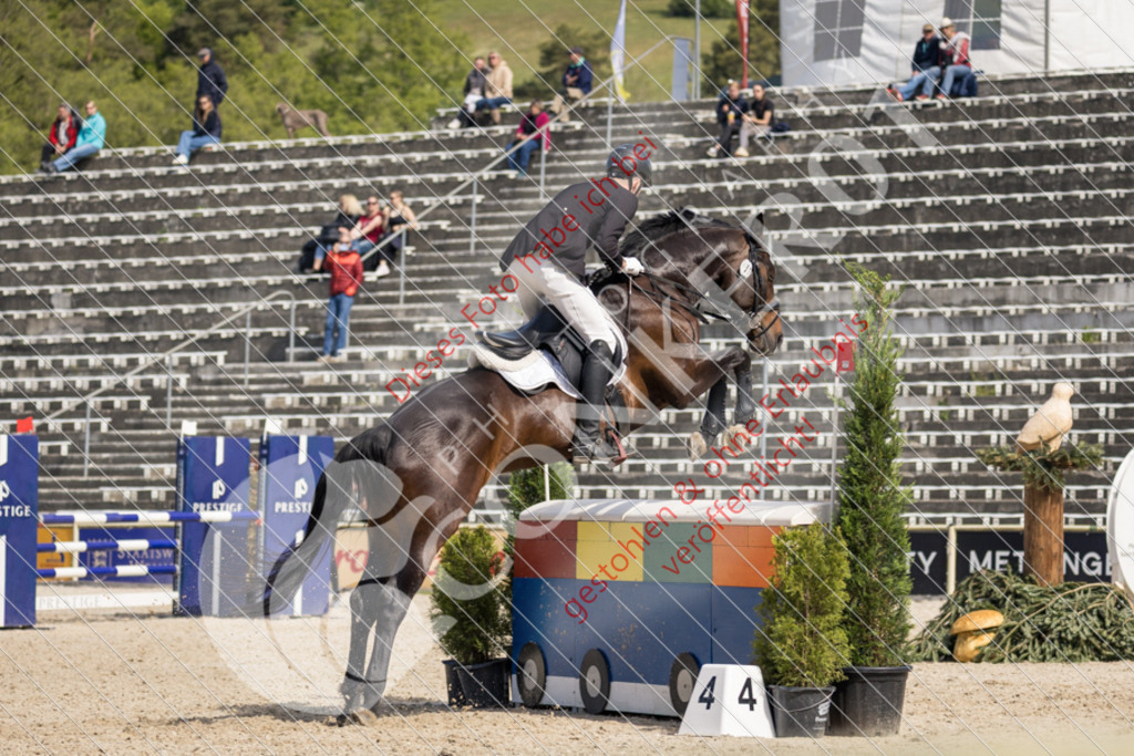 IMG_4365 | Sport-, Event- und Tierfotos in Profiqualität. Einfach auswählen, bestellen und herunterladen. Dein Moment – perfekt festgehalten.