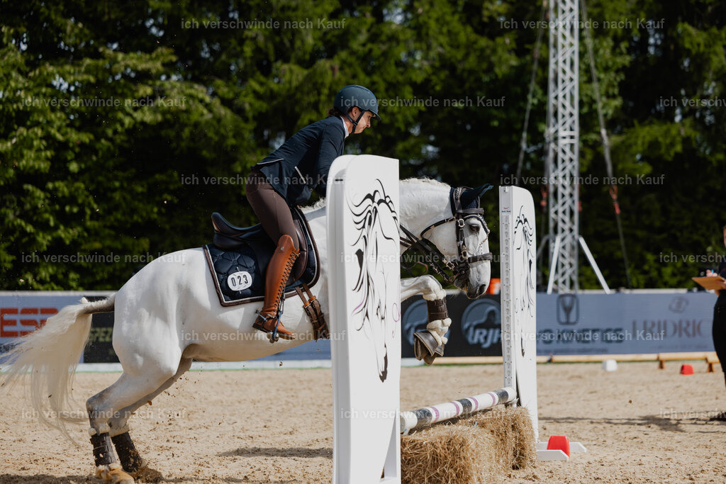 Steffi23_FHC2025-60 | working equitationturnier fotograf videograf stoibphotography marixx film working equitation deutschland reitsport turnierfotografie eventfotografie equestrian events