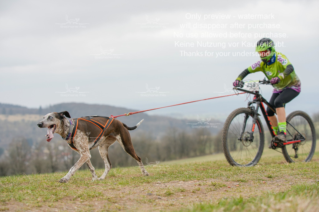 BikeSA-344 | stephaniefillaphotographie - Realisiert mit Pictrs.com