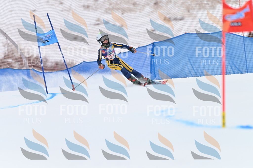 BGV_3087 | holidayphoto