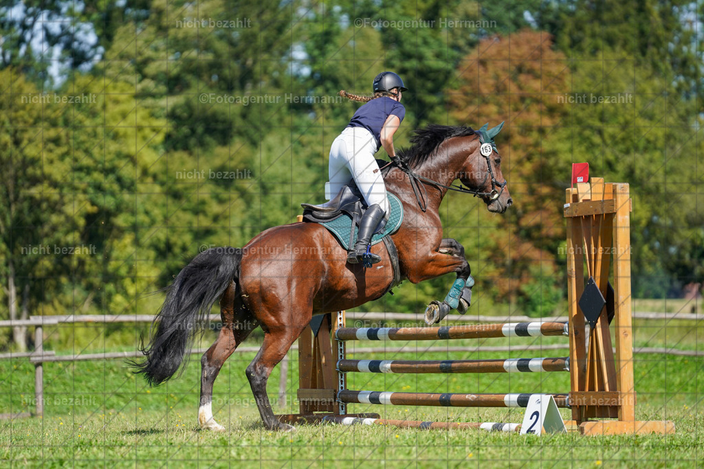 20230917-FAH09390 | Landsberg am Lech, 2023, Kaufbeuren, Kempten, Allgäu, Turnierfotografen Bayern, Fotoagentur Herrmann, Turnierbilder, Reitsport Fotos, Pferdefotograf, Augsburg, Bad Tölz, Dachau, Karlsfeld, Memmingen, Buchloe, Schwabmünchen
