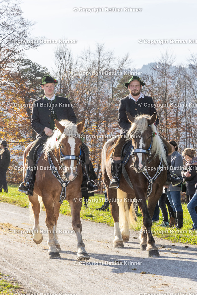 LBT24-1554 | foto-bettina-krinner - Realisiert mit Pictrs.com