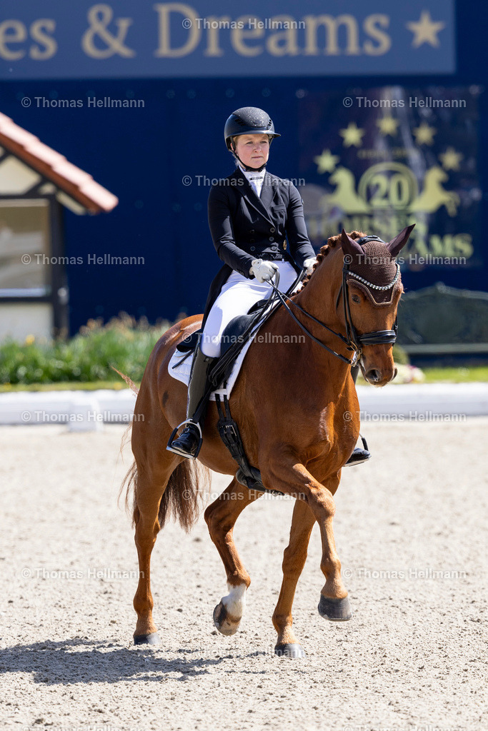 TH_305-HAASE Franziska (GER)_ ALISSIMO_36660 | Horses &amp; Dreams 2026 am 26.04.26 in Hagen a.T.W., Thomas Hellmann, 305HAASE Franziska (GER), ALISSIMO