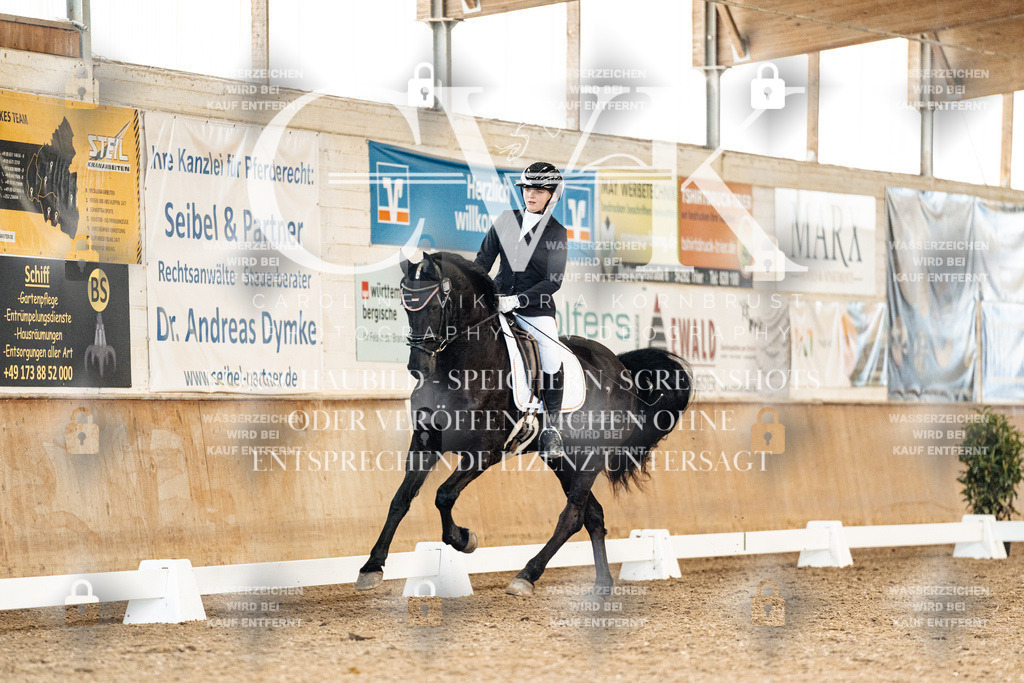 CK909750 | Turnierfotografie Pferdefotografie Trier Rheinland-Pfalz Pferdesport Reitsport Tierfotografie Sportfotografie Pferdevideo Pferdevideografie Equestrianvideography equestrianphotography  - Realisiert mit Pictrs.com