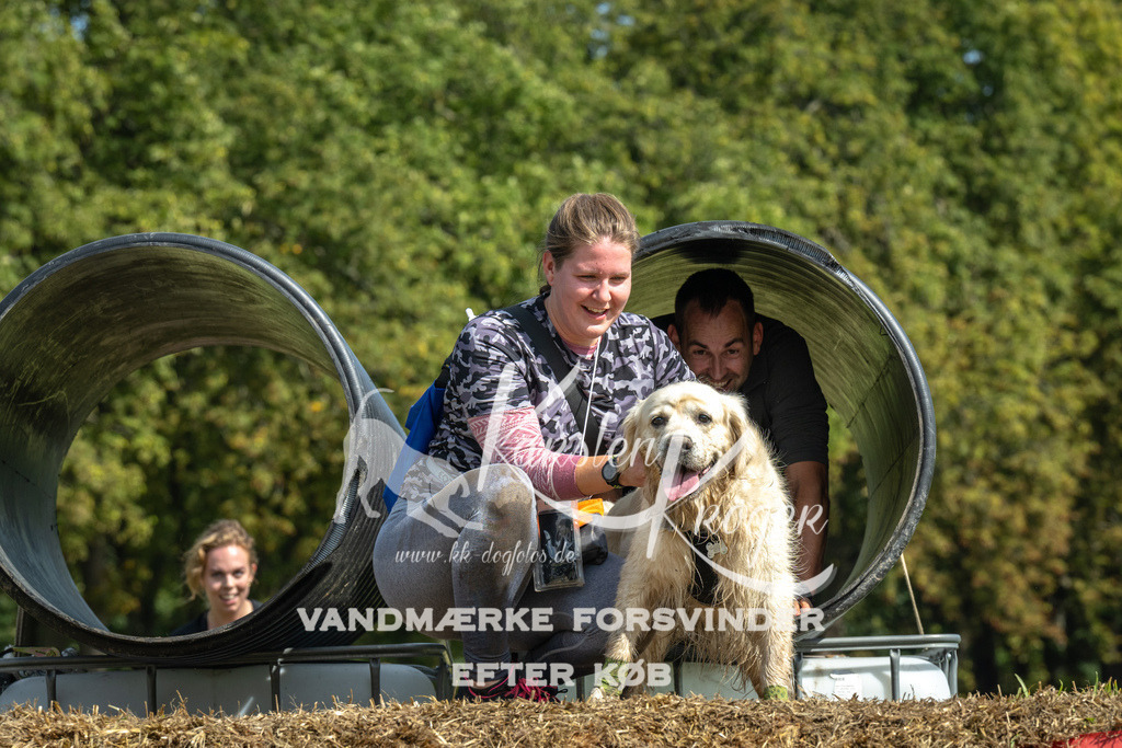 1307_ZZ92199 | kk-dogfotos