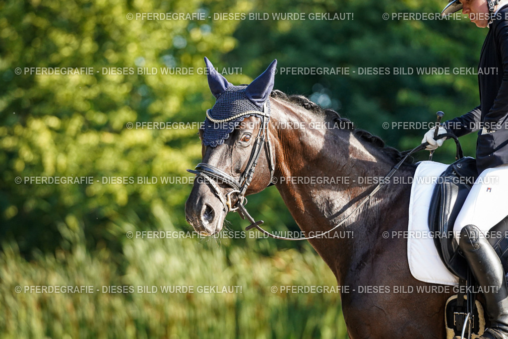 DSC08278 | Pferdegrafie