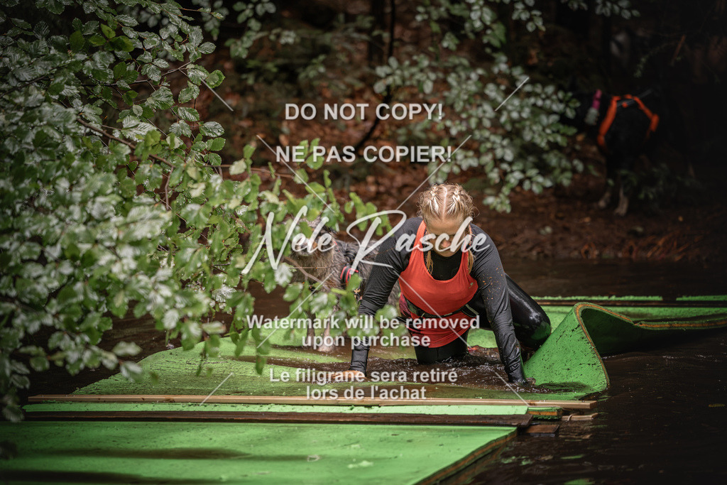nelerasche_Wingst_Sa1330-1400_277 | nelerasche