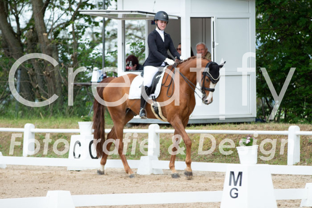 IMG_6229 | Creatify Fotografie