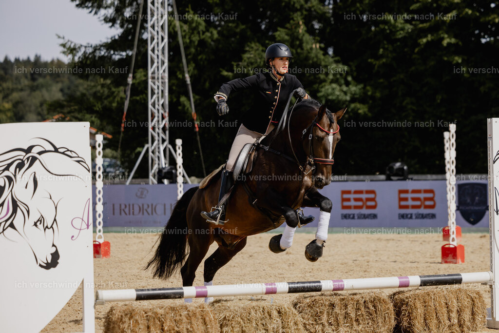 Virginie12FHC2025-20631 | working equitationturnier fotograf videograf stoibphotography marixx film working equitation deutschland reitsport turnierfotografie eventfotografie equestrian events