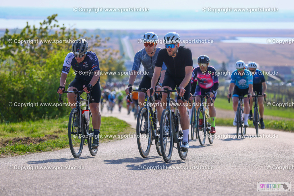 TRA_0484 | Neusiedlersee Radmarathon 2026@sportshot_your_pictrs #yourpictures#roadtowm2029 #nrm #neusiedlerseeradmarathon #neusiedlersee #neusiedlerseetourismus #burgenland #mörbisch #nrm26 #burgenlandtourismus #voglundco #poweredbyburgenlandtourismus #radsport #rad #marathon #ucigranfondo #visitburgenland #ucigranfondoworldseries