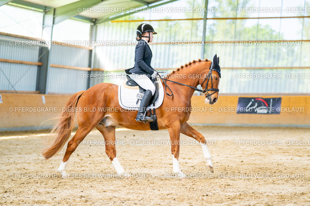 DSC06873 | Pferdegrafie