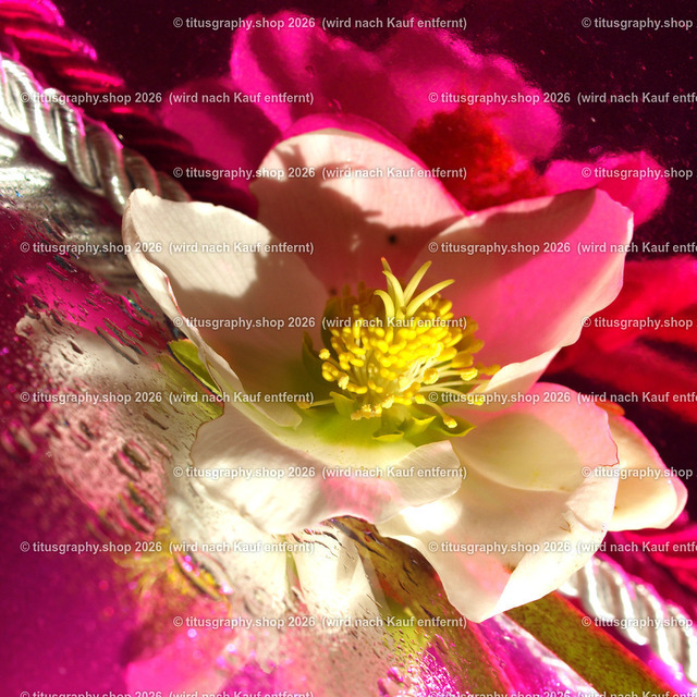 P2254480 Kopie_edited | Fotokunstarbeit aus der INSTAGRAM-Gallerie auf titusgraphy.eu - Realisiert mit Pictrs.com