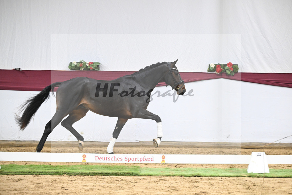 Kat-Nr. 46 Zenetti x Ritz Carlton_Udo Kast_47251639 | hf-fotografie - Realisiert mit Pictrs.com