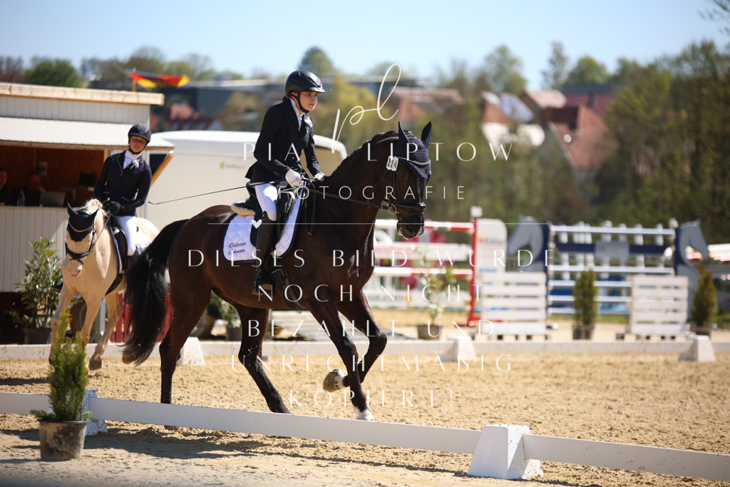 IMGT1300 | pl-fotografie