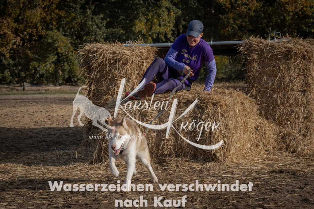 1048_ZZ99281 | kk-dogfotos