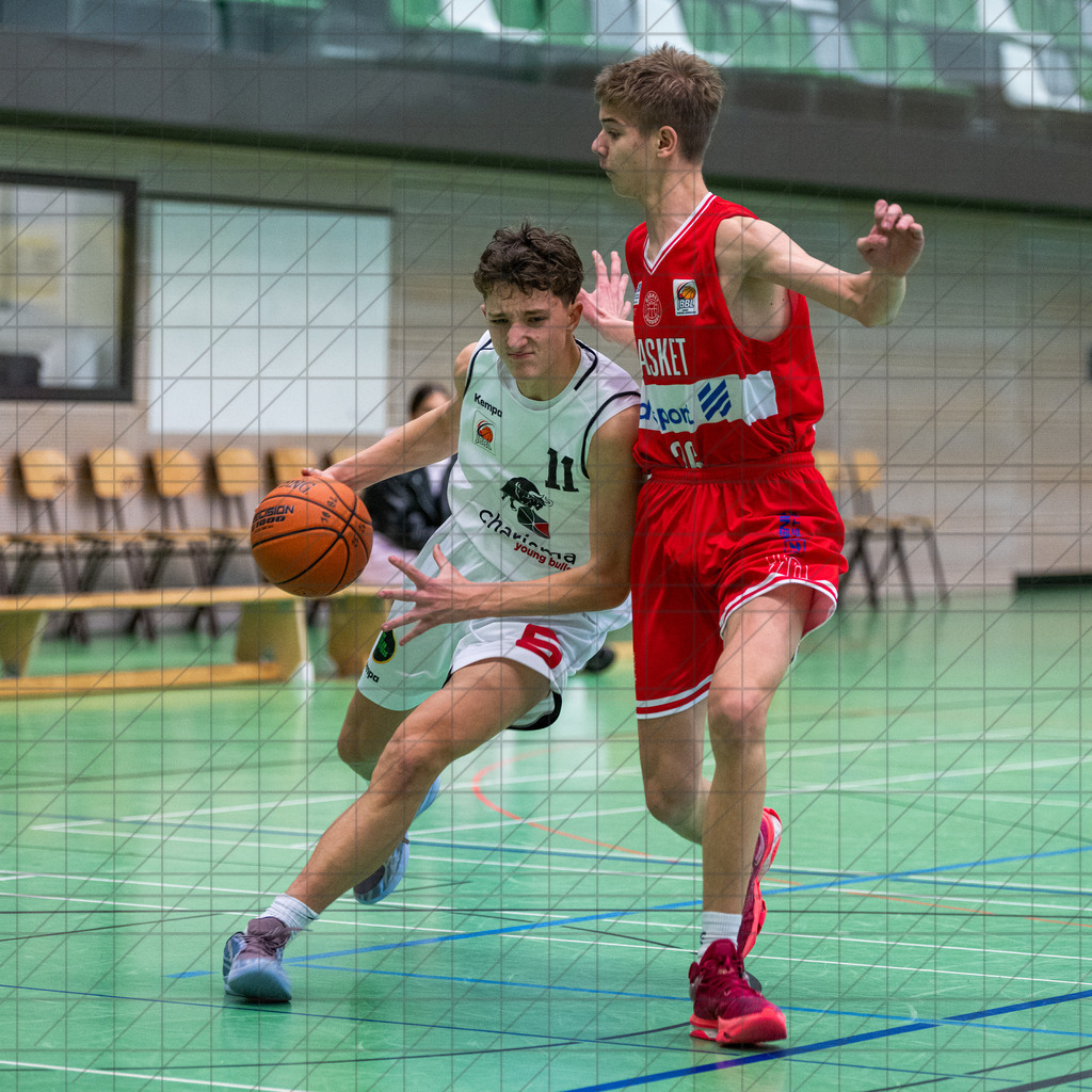 JBBL Vorrunde Gruppe 2 25/26 | Spieltag 06 | Charisma Young Bulls vs. Baskets Duisburg | 16.11.25: JBBL Vorrunde Gruppe 2 25/26 | Spieltag 06 | Charisma Young Bulls vs. Baskets Duisburg / Osnabrück / Deutschland  //   CREDIT:www.bullenfotos.de, Martin König, Hörner Weg 40, D-49078 Osnabrück, +4917663732967 // Nutzung und Weitergabe nur zu den vereinbarten Zwecken. Presseanfragen an Ersteller. Alle Rechte beim Ersteller. Honorierung nach MFM. - Realisiert mit Pictrs.com