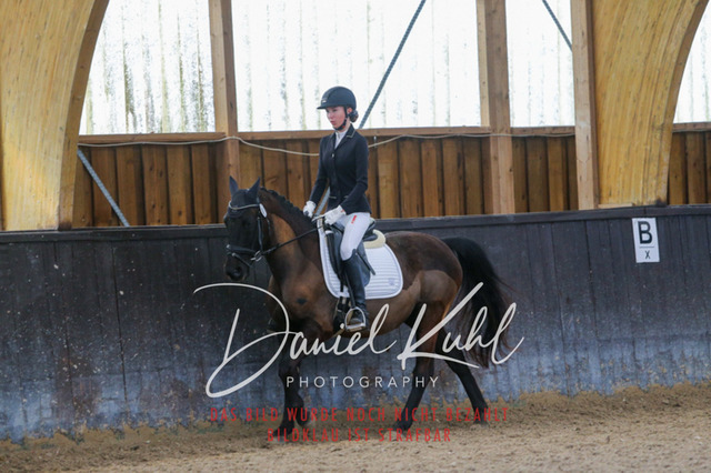 IMG_0414 | Turniersportfotografie; Pferdefotografie; Dressurfotografie