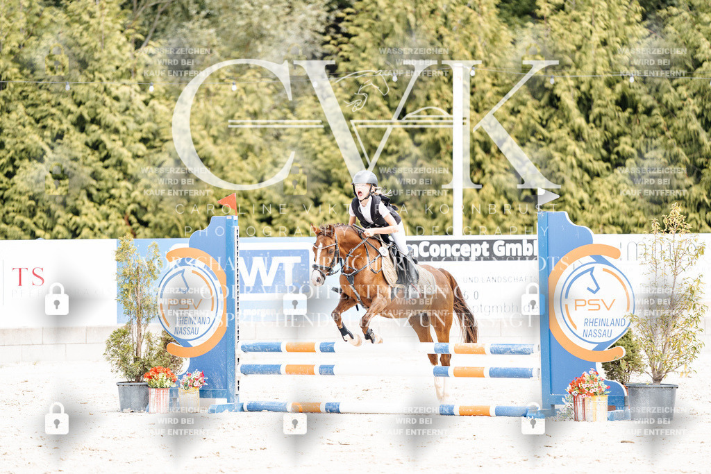 CK906760 | Turnierfotografie Pferdefotografie Trier Rheinland-Pfalz Pferdesport Reitsport Tierfotografie Sportfotografie Pferdevideo Pferdevideografie Equestrianvideography equestrianphotography  - Realisiert mit Pictrs.com