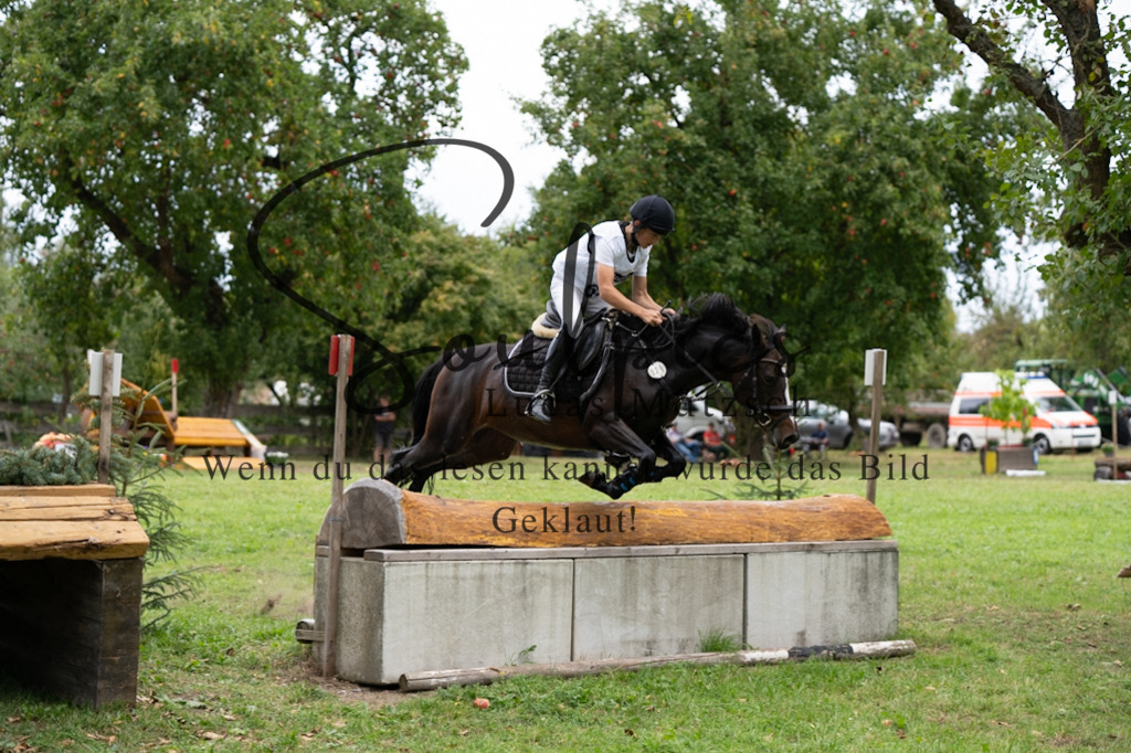 A7V03660 | Pferdefotograf