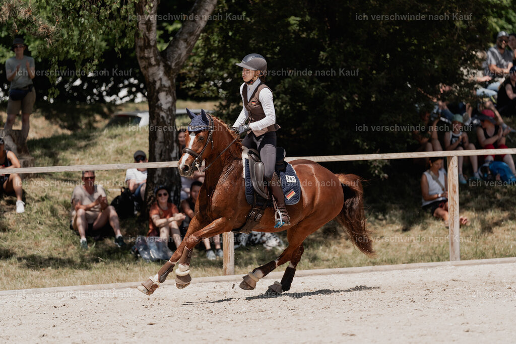 WE_SP_Stoib_342_PI2025_1826 | Pferd International München 2025