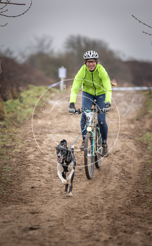 DV3A8885 | Hundefotografie, Tierfotograf, Pfotenfotografie, Fotoshooting Hund, Hunde Portrait, Hundesport, Hundeportraits, Heideshooting, Hunde, Sportfotograf, Hundefotograf, Turnierhundsport, THS,  - Realisiert mit Pictrs.com