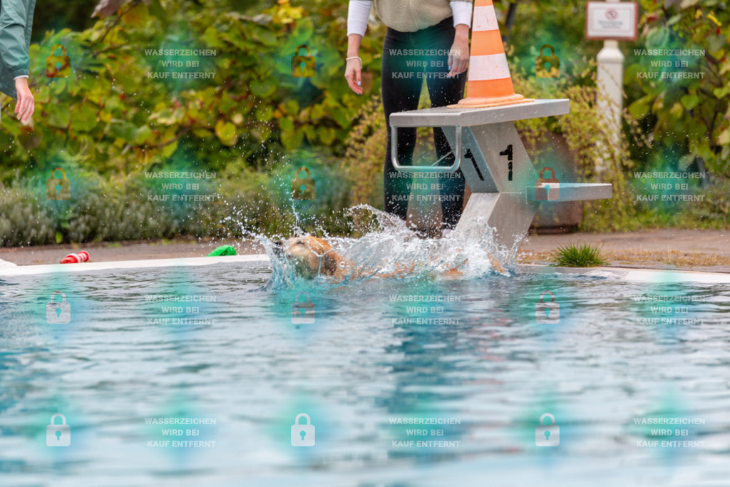 _HP_6126_1000o | HetPix, HetPix Fotodesign, Fotografie, Fotodesign, Webshop, Sportfotografie, Portraitfotografie, Onlineshop, Sportfotografie, Polch, Motorsportfotografie, Eventfotografie