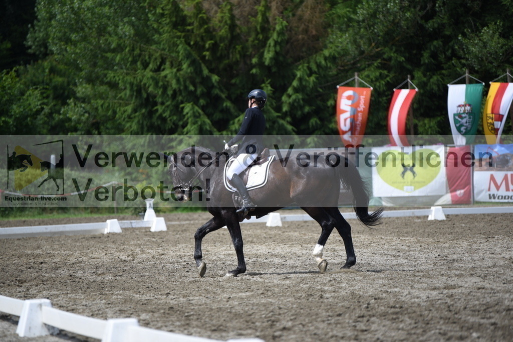 DSC_1117 | equestrian-live-com