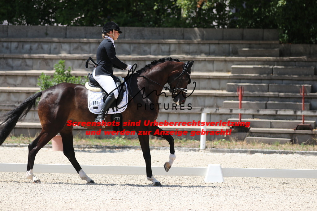 IMG_4482 | lmwpictures - Realisiert mit Pictrs.com