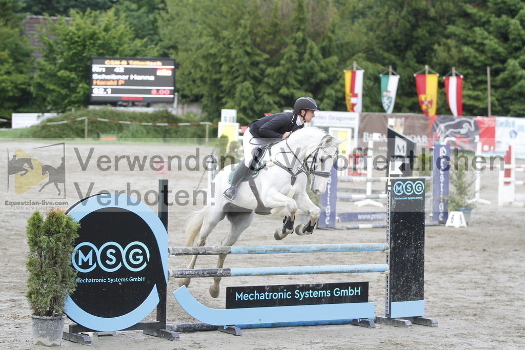 _MG_7731 | equestrian-live-com