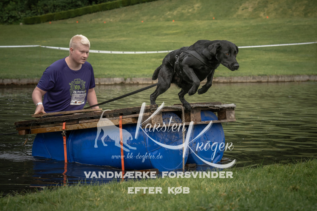 0805_ZZ90646 | kk-dogfotos