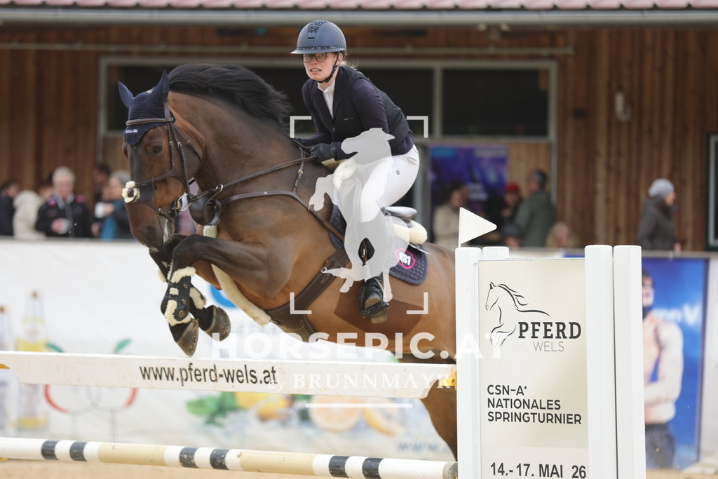 0P6A3345 | Willkommen bei Brunnmayr - Design & Fotografie – Ihrem Spezialisten für Reitturniere und Pferdeveranstaltungen in Oberösterreich, Salzburg und Bayern! Seit über 17 Jahren sind wir leidenschaftlich dabei.