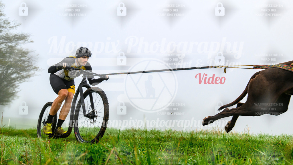 MompixPhotography_20TSB_E5_DS1-6 | PayLife