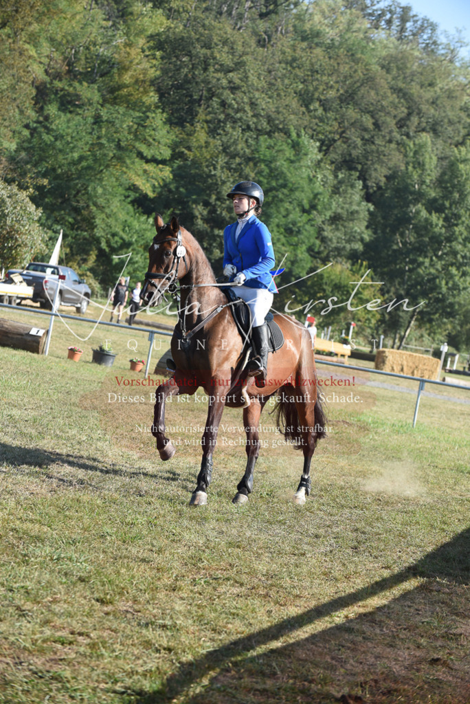 DSC_5313 | Pferde- und Turnierfotografie in Westsachsen. Pferdeportraits, Auftragszeichnungen und intuitive Kunst.