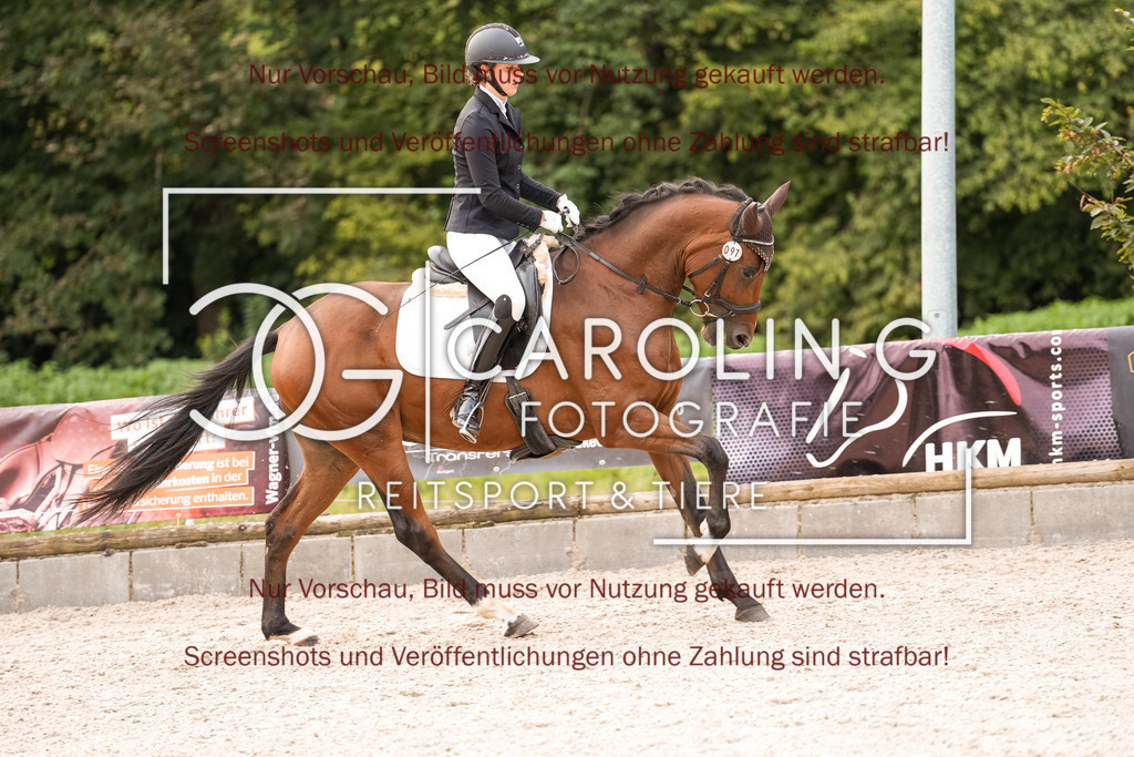 DSC00817 | Turnierfotografin Carolin Gieschke, Turnierfotografie Carolin G Fotografie, Turnierfotos Kirchheim/Teck, Esslingen, Stuttgart, Bodenseekreis