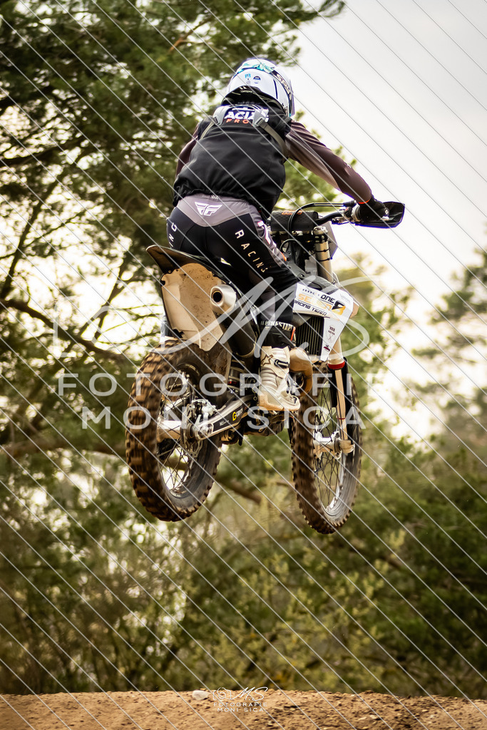 20260321-162A1149 | moni.sica.fotografie - Realisiert mit Pictrs.com