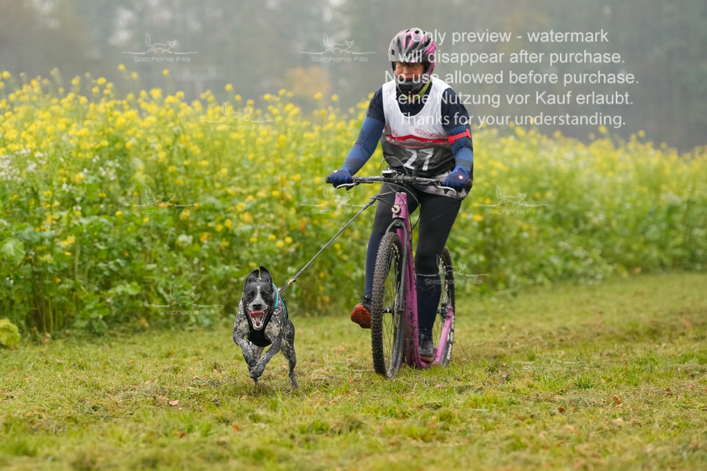 Visbeck_Sa_Scooter_Hc-108 | stephaniefillaphotographie - Realisiert mit Pictrs.com