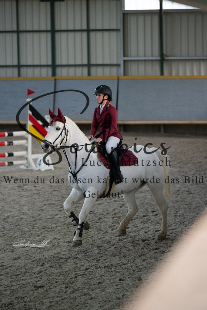 A7V01639 | Pferdefotograf