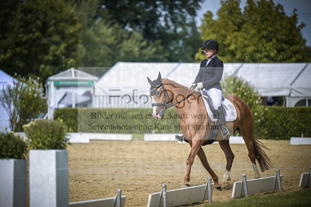DOS_5565 | Entdecke hochwertige Reitturnierfotos von Foto Oger. Professionell, emotional und authentisch – jetzt Lieblingsmomente im Shop bestellen.Deutschlandweite Turnierfotografie. - Realisiert mit Pictrs.com