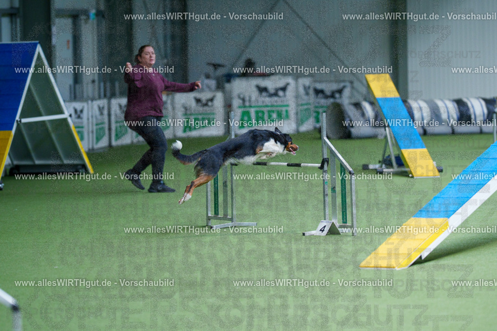 @allesWIRTHgut_Tierfotografie - www.allesWIRTHgut.de - 2604260929-7R507885 | Professionelle Tierfotografie in Mönchengladbach von Daniel Wirth (allesWIRTHgut). Liebevolle & natürliche Bilder von Hunden & Katzen für unvergessliche Erinnerungen.