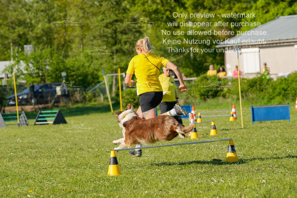 Sa_CSC-550 | stephaniefillaphotographie - Realisiert mit Pictrs.com