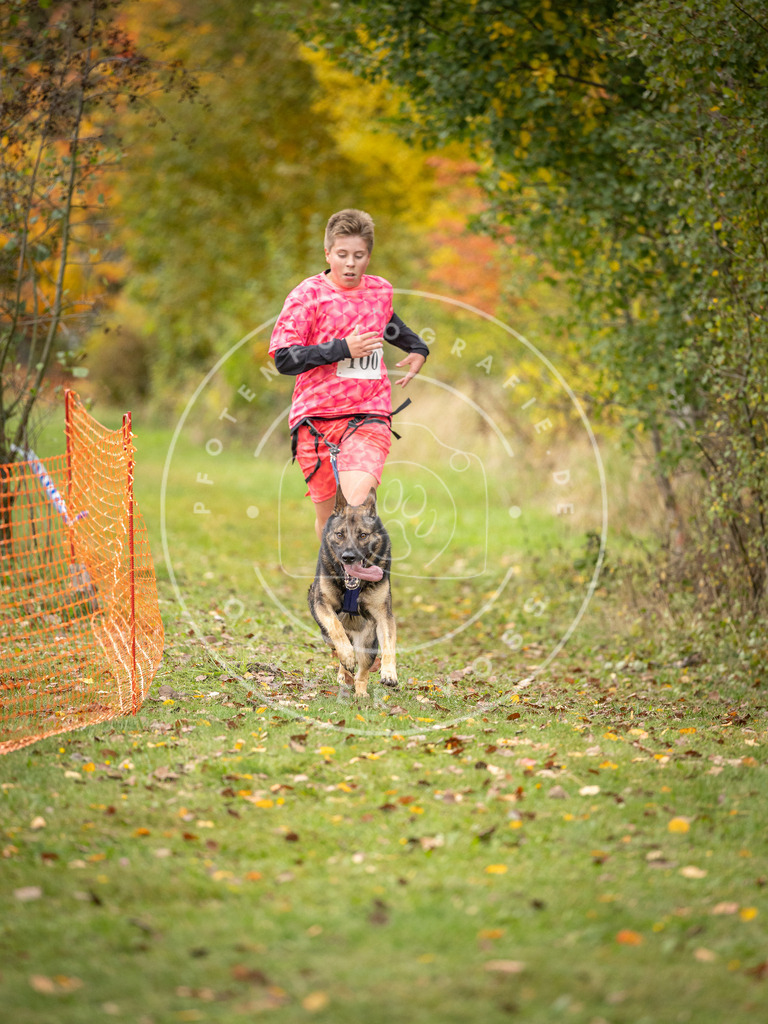 Pfotenfotografie_DV3A3447 | Hundefotografie, Tierfotograf, Pfotenfotografie, Fotoshooting Hund, Hunde Portrait, Hundesport, Hundeportraits, Heideshooting, Hunde, Sportfotograf, Hundefotograf, Turnierhundsport, THS,  - Realisiert mit Pictrs.com