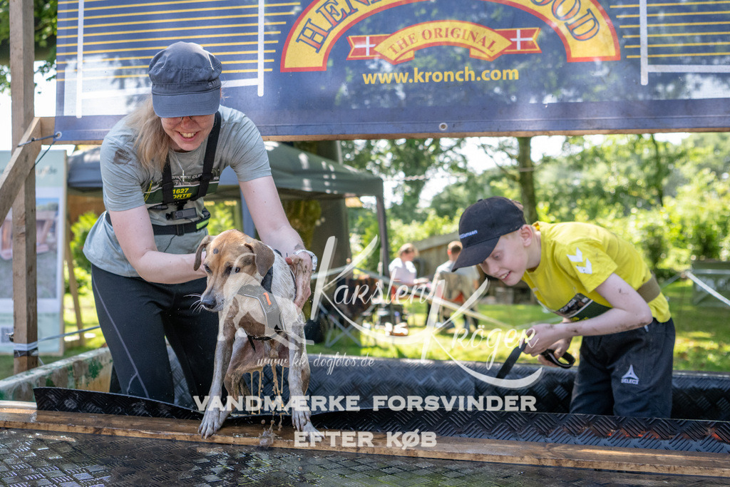 1429_ZZ94384 | kk-dogfotos