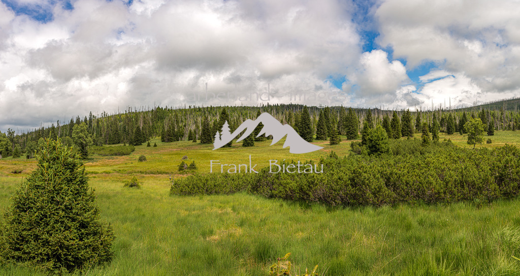 _Z5A4955-Pano | Medien- Sport- Entertainmentfotos