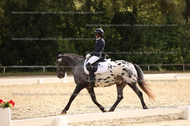HG9A1116 | laurarinckfotografie - Realisiert mit Pictrs.com