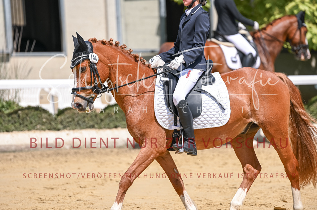 Schugtsche-Aluta25-53.Amat.Dressurprf.A2-369 | Schugtsche Fotografie - Realisiert mit Pictrs.com