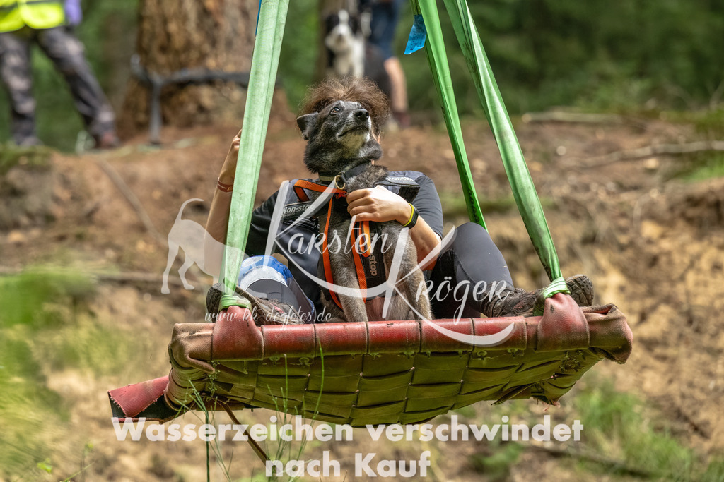 1244_ZZ91712-Bearbeitet | kk-dogfotos
