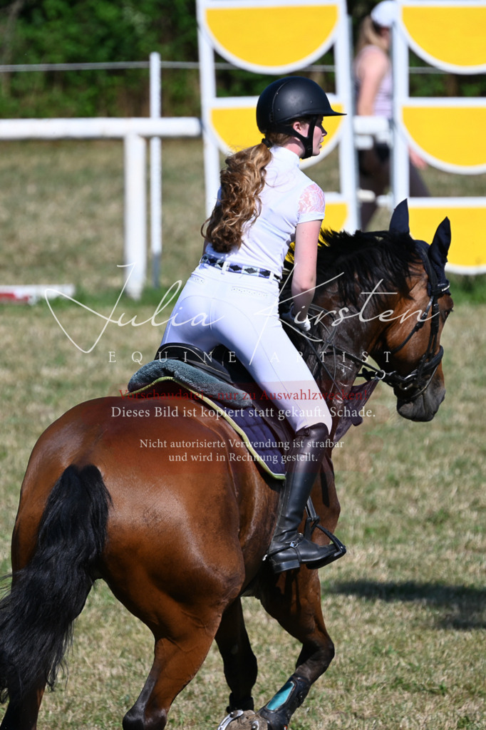DSC_1881 | Pferde- und Turnierfotografie in Westsachsen. Pferdeportraits, Auftragszeichnungen und intuitive Kunst.